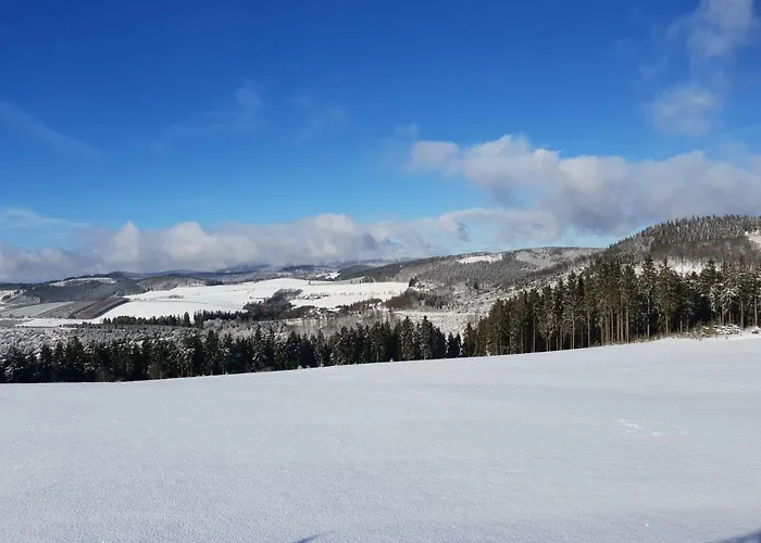 Homeaway Appartement Winterberg