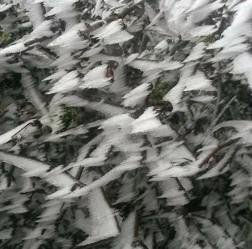 Appartement Homeaway *